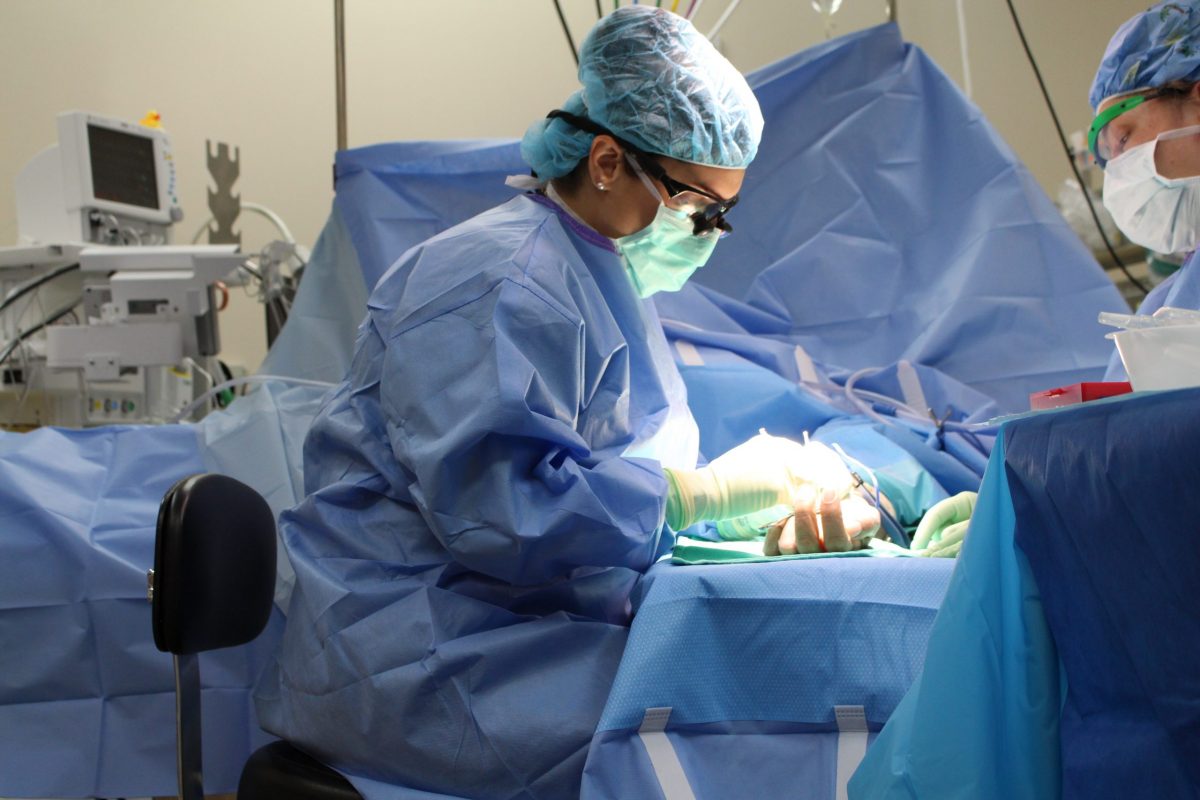 Female surgeon wearing blue personal protective equipment (PPE) performs hand surgery at orthopedic surgery center. 