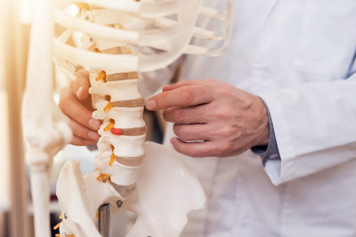 Orthopedic surgeon’s hands demonstrating on model of spine.