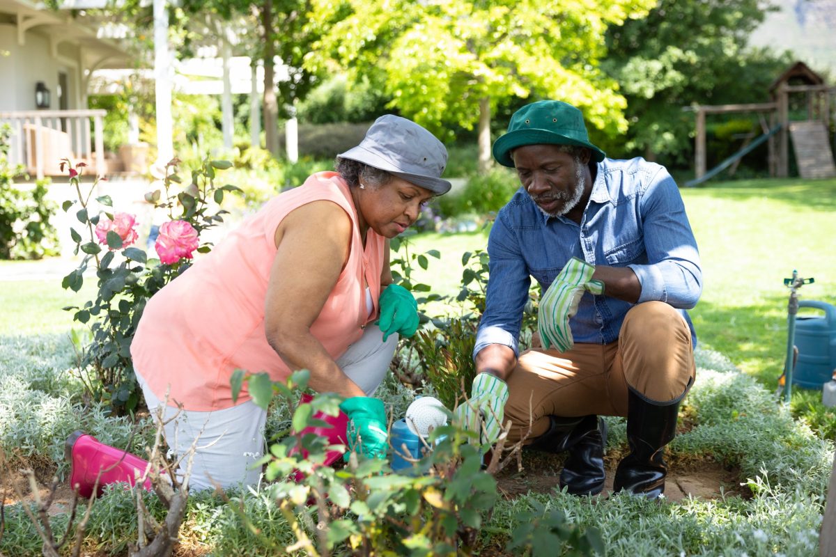 Avoid Knee Pain from Working in the Garden This Summer