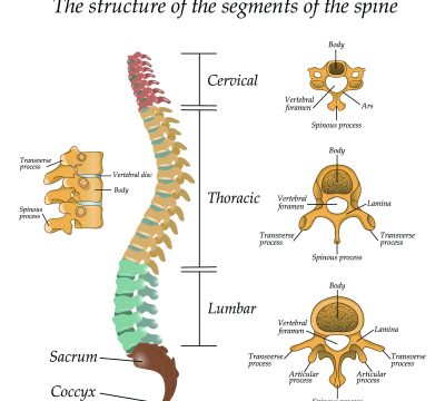 What to Expect When You Have Spine Surgery: Recovery Time, Aftercare, and More