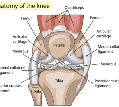 The Most Common Knee Injuries